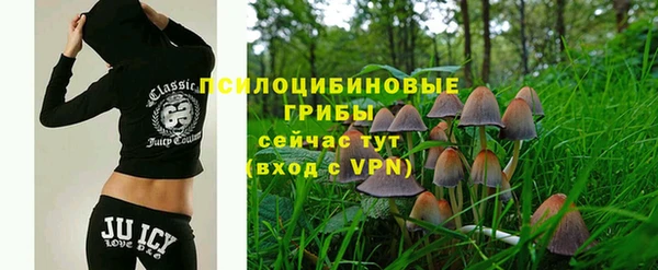 PSILOCYBIN Михайловка