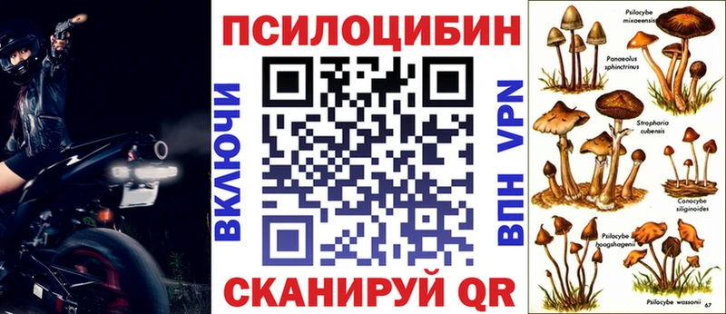 Галлюциногенные грибы мухоморы  купить наркотик  Новомосковск 