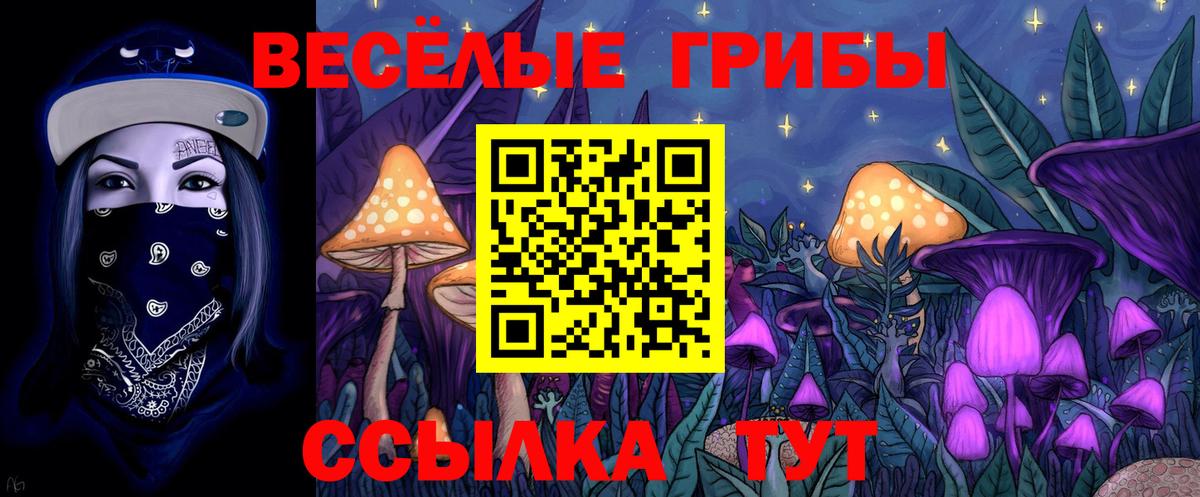 Галлюциногенные грибы мицелий  Вход с VPN  Новомосковск  Псилоцибиновые грибы Magic Shrooms 