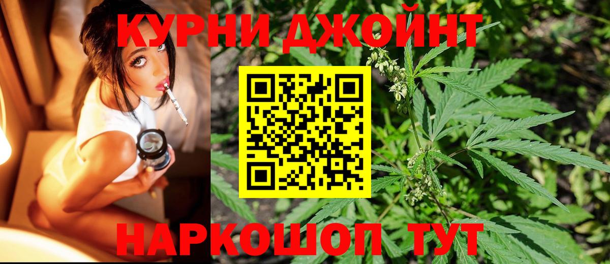 Каннабис план Новомосковск